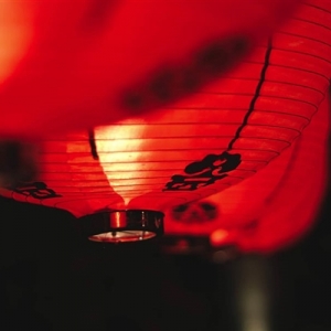ũ巵磺14ӼҼ⡢7һκ